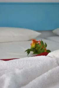 Oleander Studios - 63