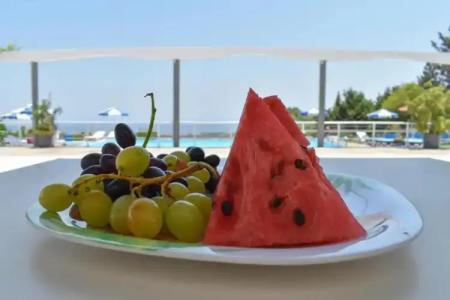 Oleander Studios - 10