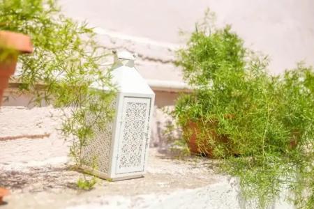 Iatridis Studios Faliraki - 30