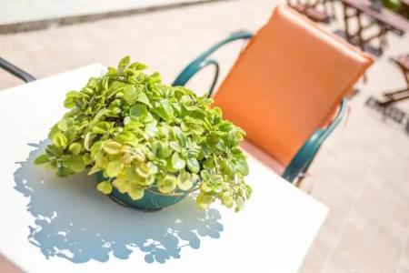 Iatridis Studios Faliraki - 28