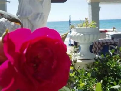 Romantic Palace Beach Apartments - 5