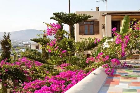 Anthippi Guest House - 162