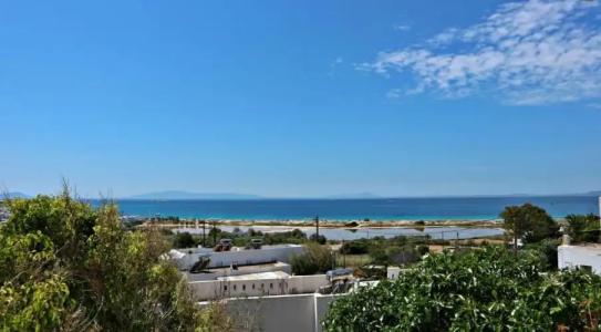 Proteas & Suites - 378