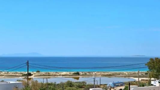 Proteas & Suites - 216