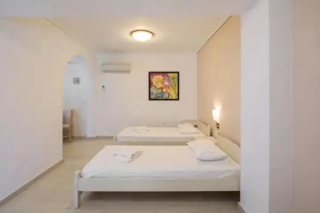 Proteas & Suites - 300