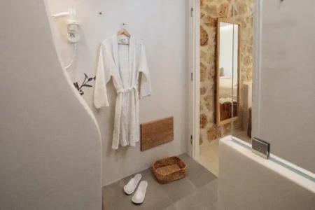 Proteas & Suites - 253