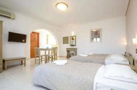 Proteas & Suites - 381