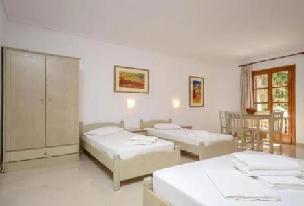 Proteas & Suites - 355