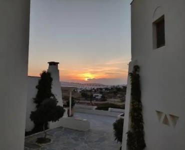 Proteas & Suites - 97