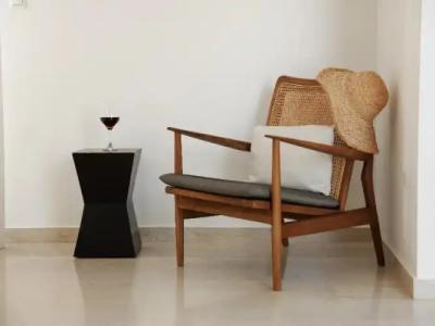 Proteas & Suites - 244