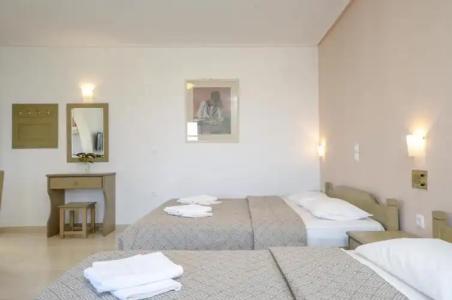 Proteas & Suites - 382