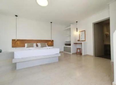 Proteas & Suites - 106