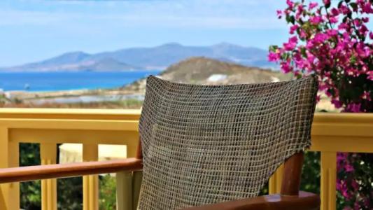 Proteas & Suites - 377