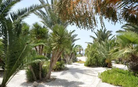 Medusa Beach Resort & Suites - 19