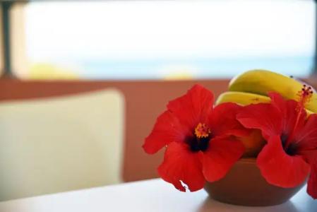 Iolkos Apartments - 131