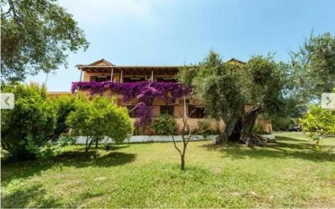 Marilena Apartments & Studios - 49