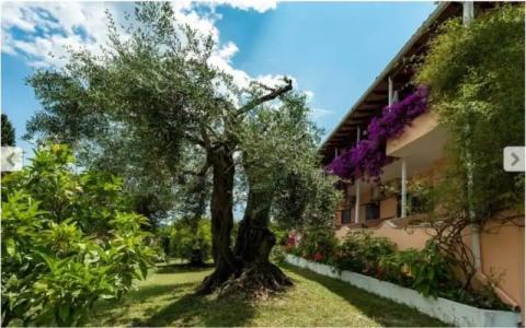 Marilena Apartments & Studios - 47