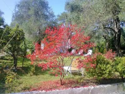 Marilena Apartments & Studios - 53