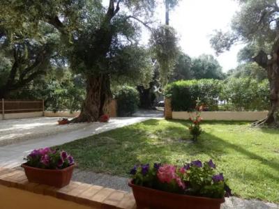 Barbati Beach Apartments - 244