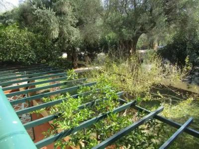 Barbati Beach Apartments - 132