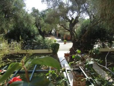 Barbati Beach Apartments - 133