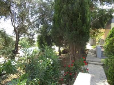 Barbati Beach Apartments - 257