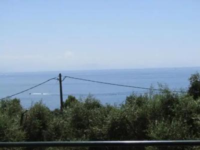 Barbati Beach Apartments - 165