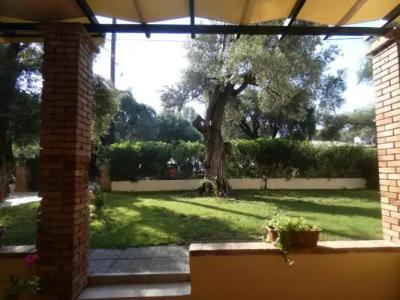 Barbati Beach Apartments - 236