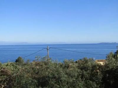 Barbati Beach Apartments - 166