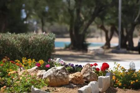 Paros Inn Seafront - 52