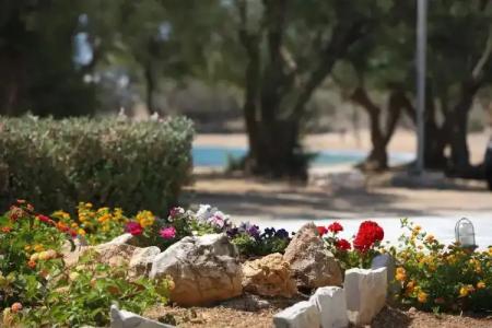 Paros Inn Seafront - 48