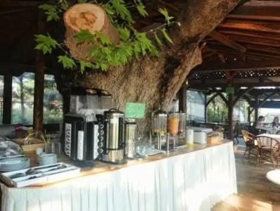 Haus Platanos Apartments & Bungalows by the Sea - 12