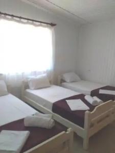 Villa Vasiliadis - 77