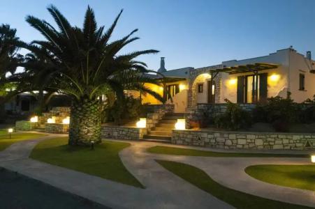 Anemones Studios - 0