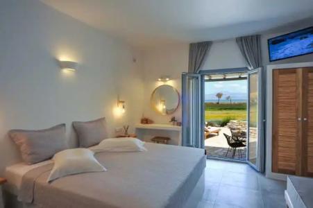 Anemones Studios - 29