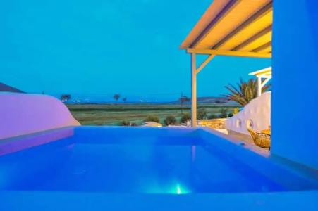 Anemones Studios - 7