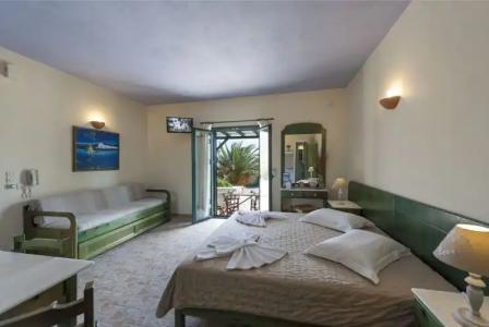 Anemones Studios - 3