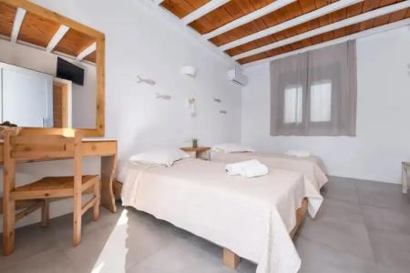 Anemones Studios - 125