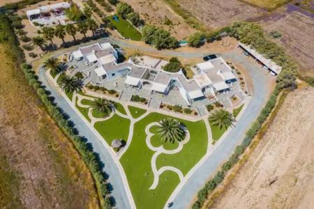 Anemones Studios - 69