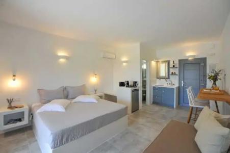 Anemones Studios - 141