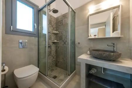 Anemones Studios - 128