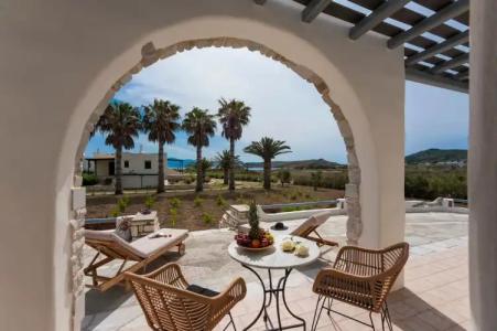 Anemones Studios - 56