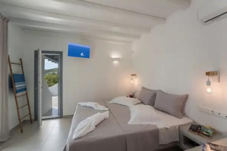 Anemones Studios - 57