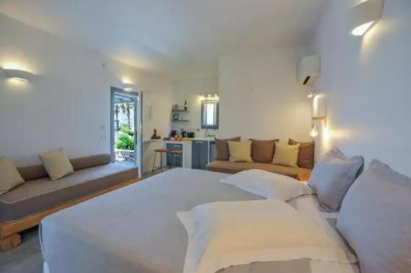 Anemones Studios - 35