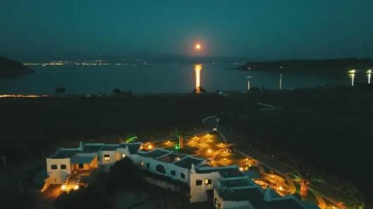 Anemones Studios - 45