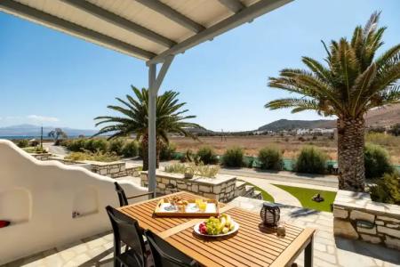 Anemones Studios - 91