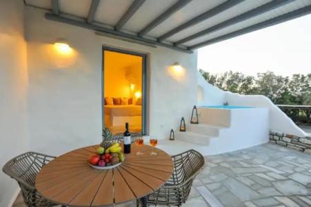 Anemones Studios - 38