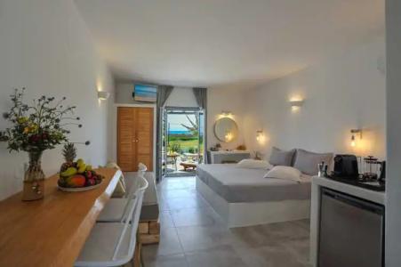 Anemones Studios - 138