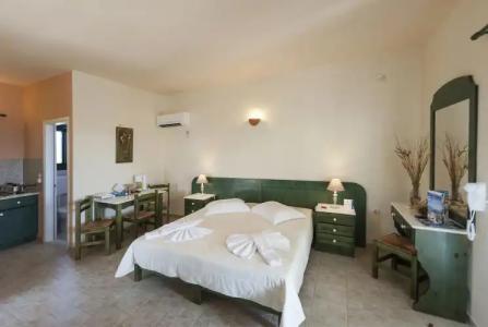 Anemones Studios - 2