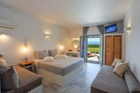 Anemones Studios - 20